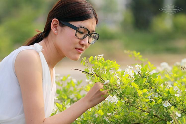 绿意盎然海角社区主界面展示